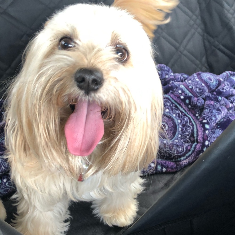 Meet your Posher, Christina